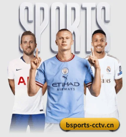 B体育 APP 界面 - BSPORTS